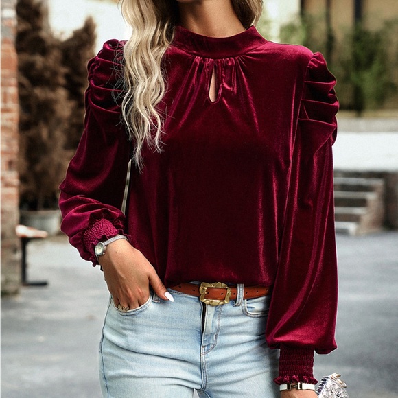 Tie Up Mock Neck Velvet Fabric Long Sleeve Blouse - Picture 6 of 12